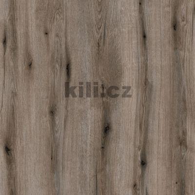 V�ce informac� o v�robku LTD Fossil Evoke Oak (dub) K366 PW