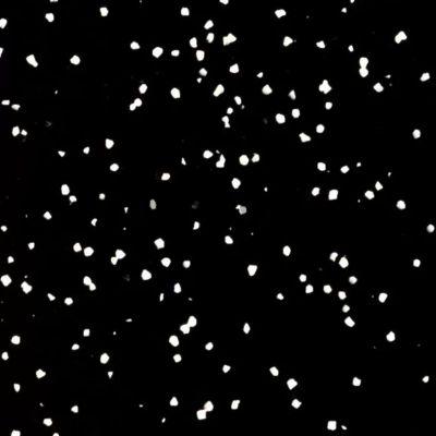 M�NUS designov� panel Black Dalmatian