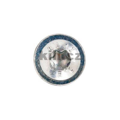 RAPI-TEC SK PLUS 5x60mm, ploch� hlava T25 zinek, mal� bal. 45 ks